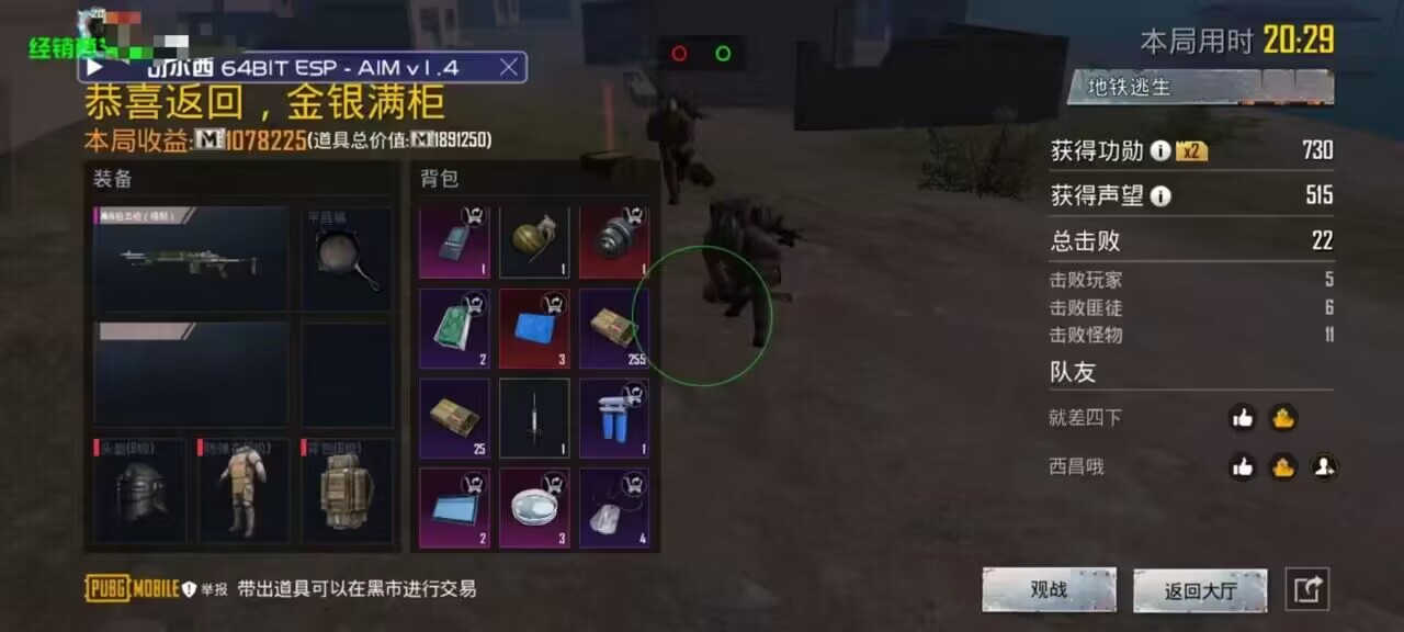 和平精英「EGM」辅助