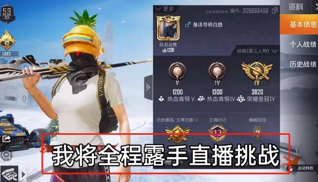 探索和平精英辅助工具背后的技术奥秘