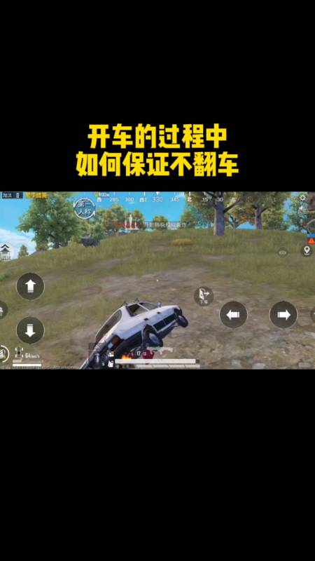 和平精英辅助【极目】